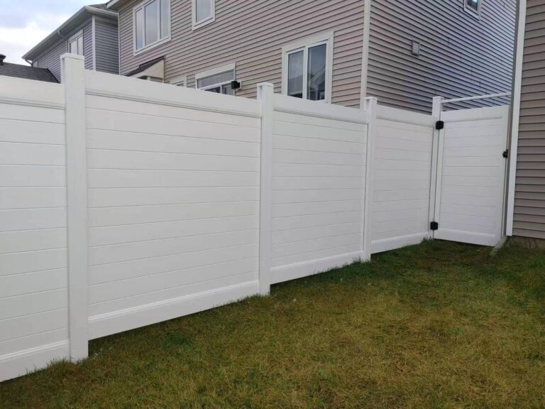 cde62d4d093ba46536b5a69fe7ac172e 768x576